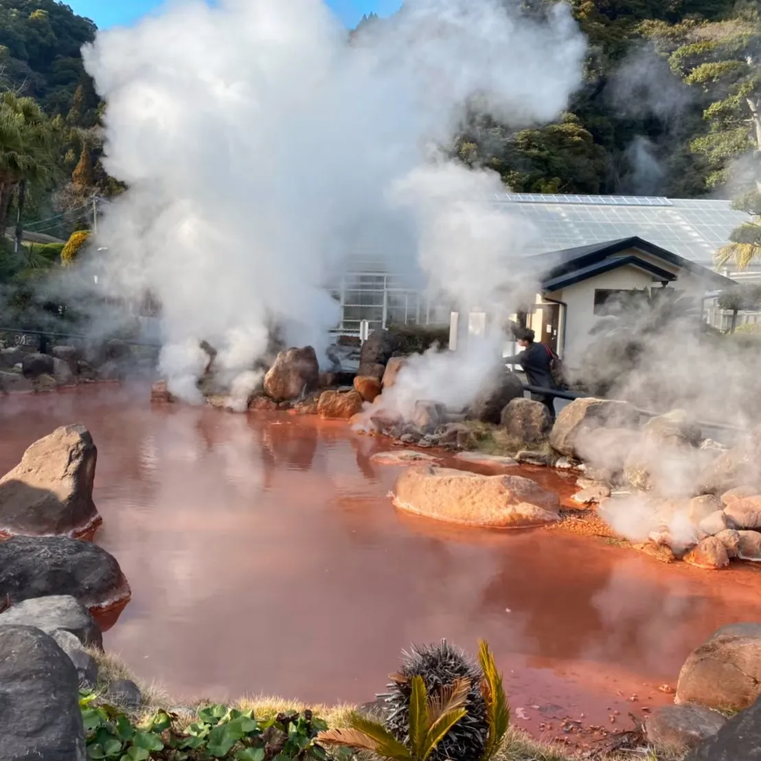 血の池地獄
大分県別府市