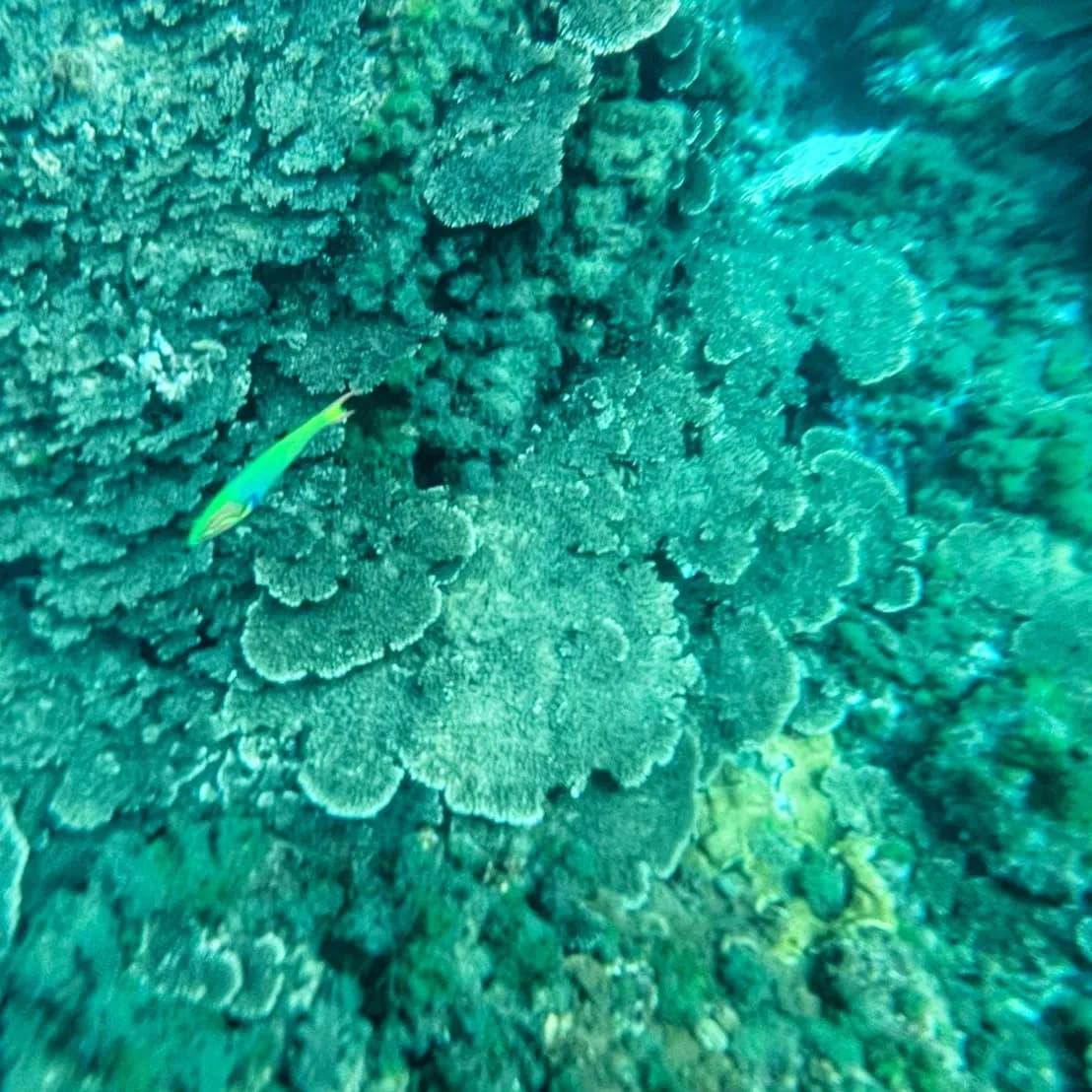 底土湾
東京都八丈島