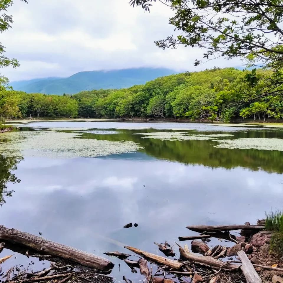 知床五湖
北海道斜里町